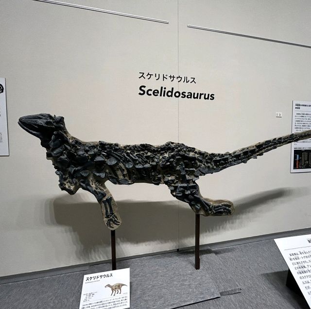 新属新種もりだくさん！期間限定 恐竜博2023 大阪市立自然史博物館