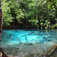 สระน้ำผุด : Blue Pool 