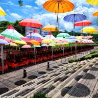Unique Way To Enjoy Seoul Countryside!