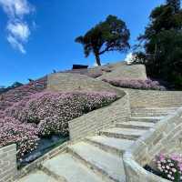 Cameron Highlands