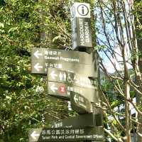 Mini Urban Park in Admiralty