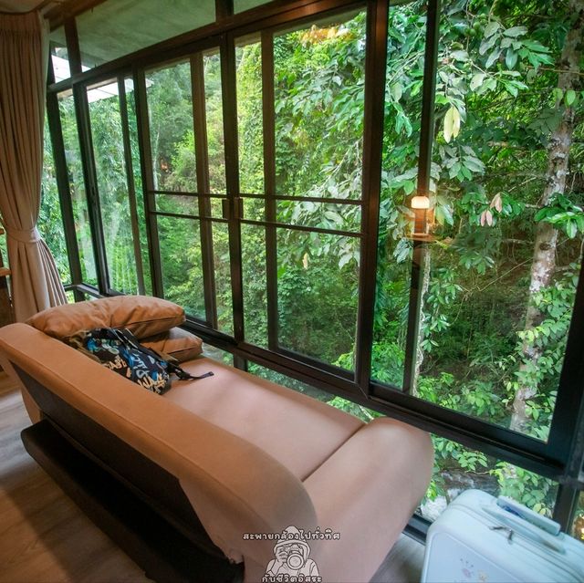 Bee forest บ้านแม่ลาย เชียงใหม่