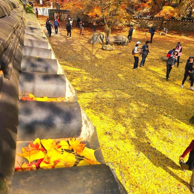 Beautiful Autumn of Beonjusa Temple 