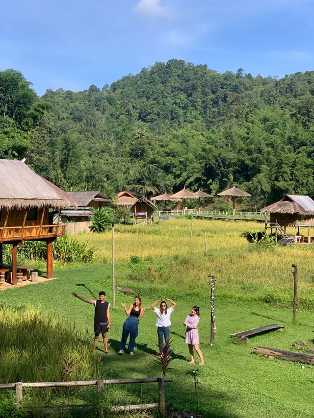 ย้อนเวลาไปเข้าแคมป์เลี้ยงช้างที่เชียงใหม่🐘