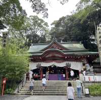 パワースポットの来宮神社