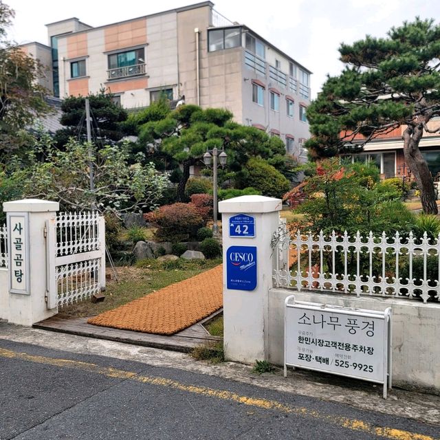 국내여행 대전에서 맛있는 곰탕을 먹을 수 있는 소나무풍경