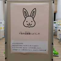 期間限定展示　干支展　天王寺動物園