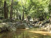 อุทยานแห่งชาติลานสาง