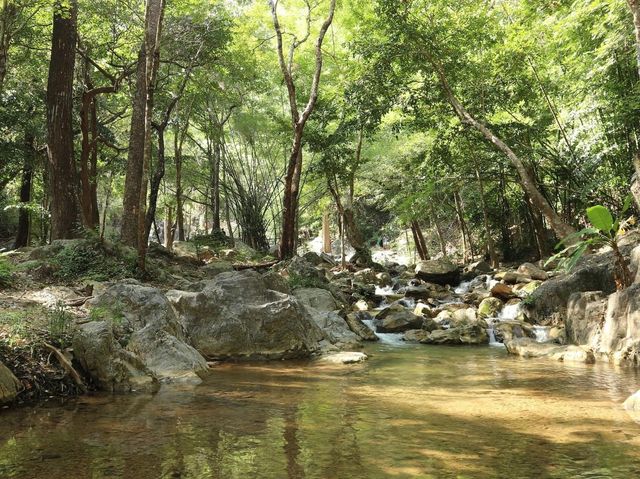 อุทยานแห่งชาติลานสาง
