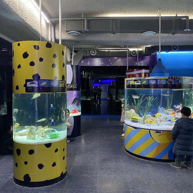 Spectacular aquarium in Korea
