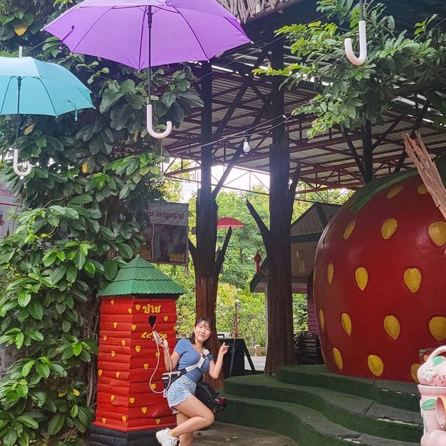 태국 빠이 시그니처 왕딸기🍓사진찍기 좋은 딸기카페