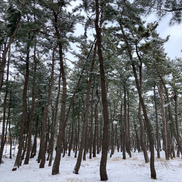 울산바위뷰와 함께하는 설경!