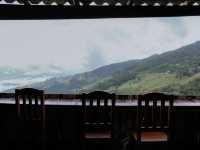 CAMP Phuchifa แคมป์ภูชี้ฟ้า 