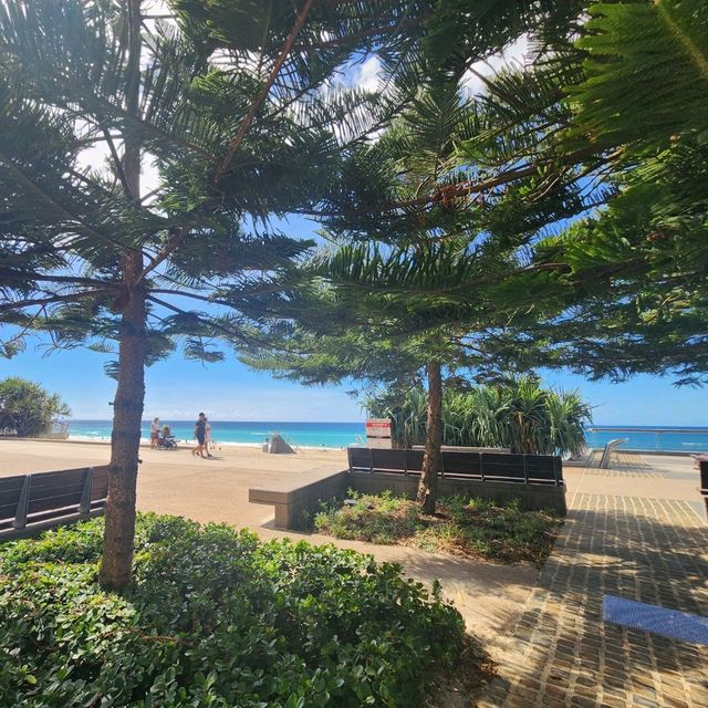 หนีร้อน มาหาร้อน ที่ Gold coast