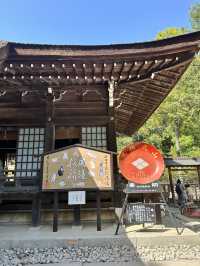 山梨観光＊武田信玄を祀る武田神社