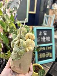 ［台中/北區］ 台中一中街夜市美食大集合🫵🏻(上和園滷味,丹丹手工蔥油餅,老窗白糖粿,豐味綠豆沙牛乳專門店) 
