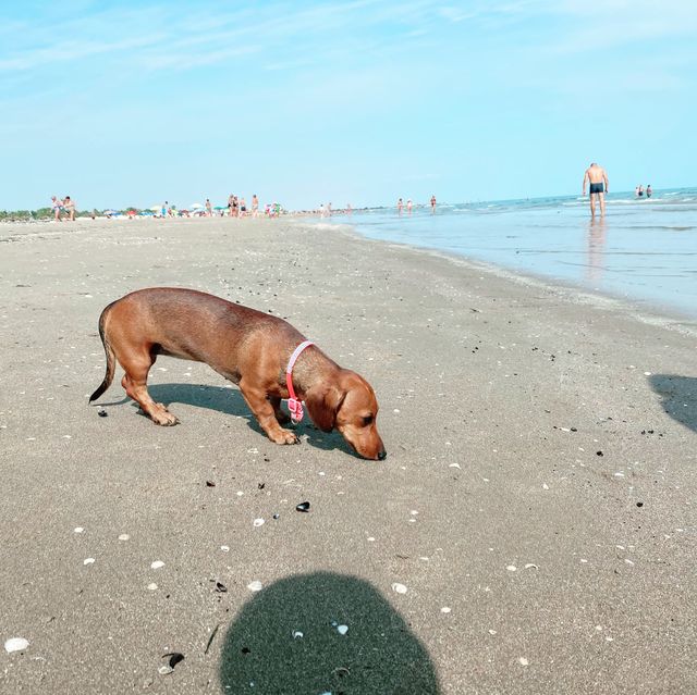 Beautiful beach walk in Barletta! 