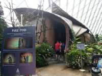 Avatar in Sg!