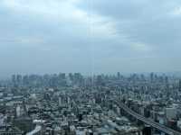 【51階から大阪を一望できる】ビュッフェレストラン！