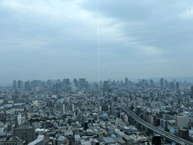 【51階から大阪を一望できる】ビュッフェレストラン！