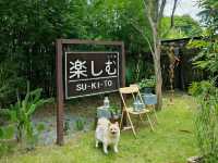 พาน้องหมามาเที่ยวญี่ปุ่นกัน ที่คาเฟ่ระยอง