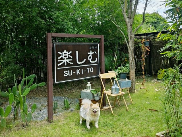 พาน้องหมามาเที่ยวญี่ปุ่นกัน ที่คาเฟ่ระยอง