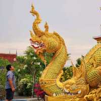 วัดงามเมืองแปดริ้ว