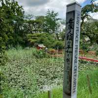 愛知旅行！桶狭間の戦いゆかりの地「弁天池」