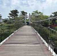 자연이 만든 신비 🌿 제주 용연계곡
