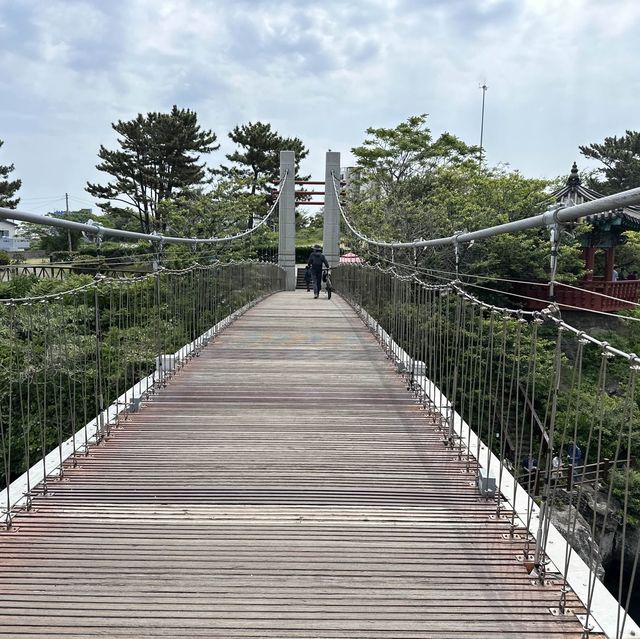 자연이 만든 신비 🌿 제주 용연계곡