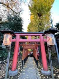 【東京都/花園稲荷神社】上野公園のフォトスポットとなっている神社
