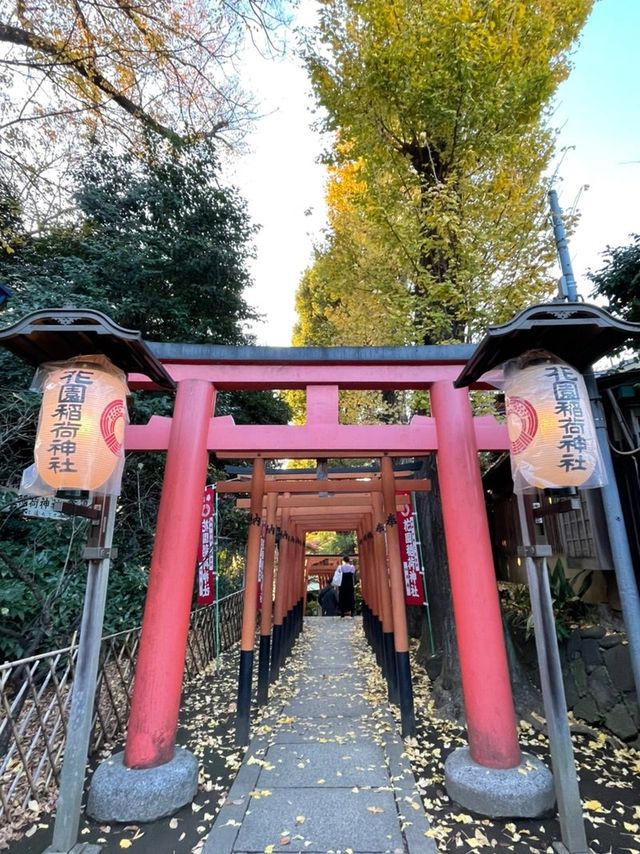 【東京都/花園稲荷神社】上野公園のフォトスポットとなっている神社