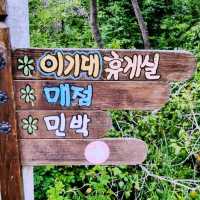 🌊 부산의 아름다운 해안선을 따라 이기대 수변공원에서.