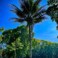 MSU Marawi breathtaking views
