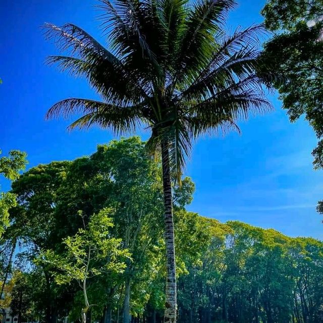 MSU Marawi breathtaking views