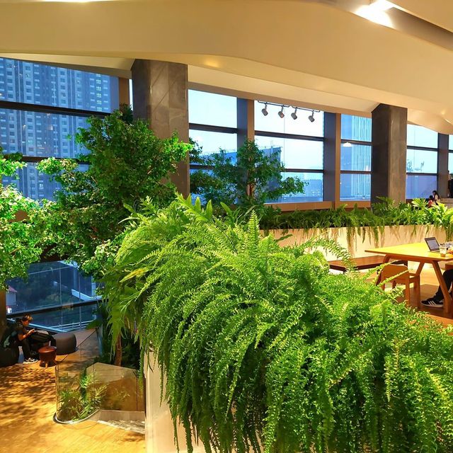 满满的綠色樹木商場SINGHA COMPLEX