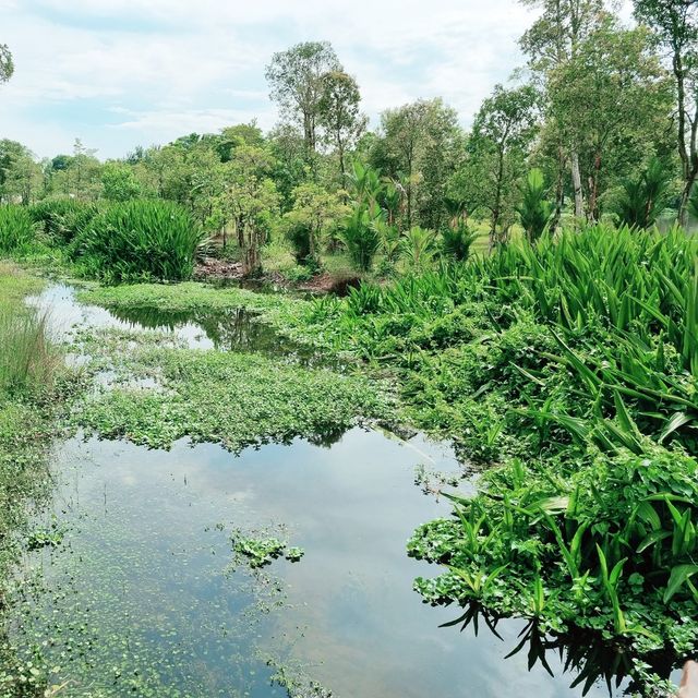 Jurong Lake Gardens: Nature, Play, Learn