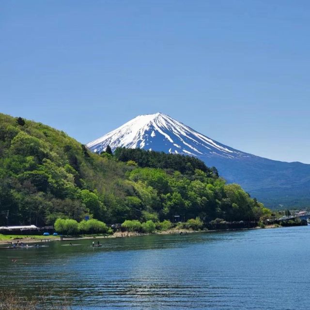 🌄天上山公園🎡絕美富士山🗻