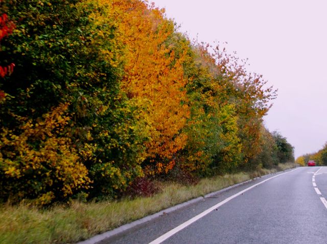 Amazing Autumn road to Stonehenge from Bath