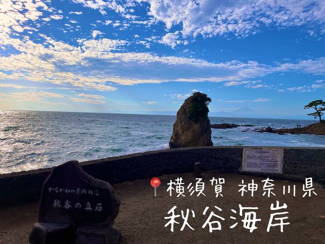 秋谷海岸 @横須賀⛱️ 秋谷海岸 @横須賀⛱️