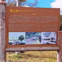 Discover Pudacuo National Park in Shangri-la