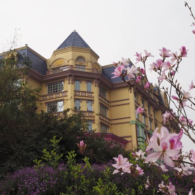 番禺百萬葵園😌內地親子遊🫶🏻短線必去度假酒店🏨
