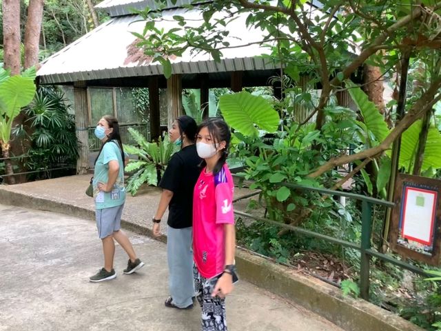 สวนนกภูเก็ต "Phuket Bird Park"