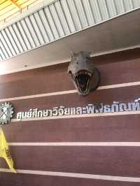 พิพิธภัณฑ์ไดโนเสาร์ @ภูเวียง ขอนแก่น🦕