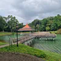 Macritchie Reservoir Like Never Before