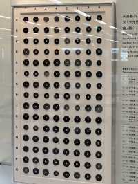🤓宋王臺-文物展覽🧐