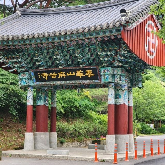유네스코등록 한국의산사 마곡사 장엄하다 .  대한불교조계종 제6교구 본산