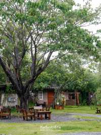 Sukito - สุขิโต 🌳🌿🪴คาเฟ่ไม่ไกลจากตัวเมืองระยอง