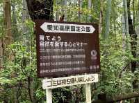เดินป่าสำรวจอุทยานธรรมชาติ บนภูเขา🌳🏕️