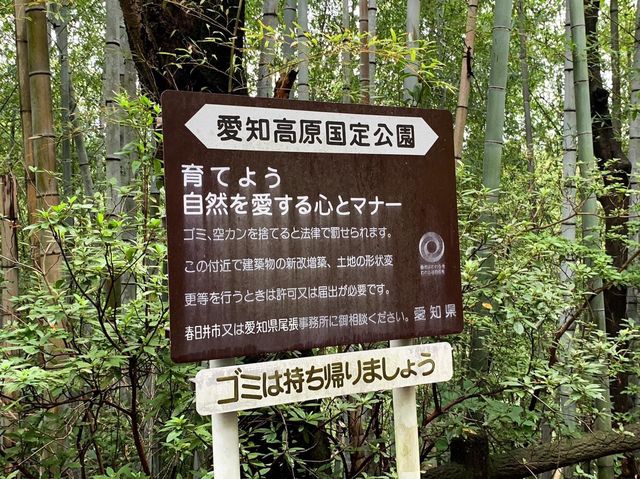 เดินป่าสำรวจอุทยานธรรมชาติ บนภูเขา🌳🏕️
